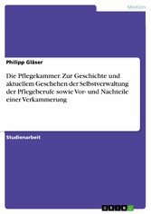 Die Pflegekammer. Zur Geschichte und aktuellem Geschehen der Selbstverwaltung der Pflegeberufe sowie Vor- und Nachteile einer Verkammerung