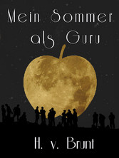 Mein Sommer als Guru