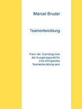 Teamentwicklung