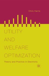 Utility and Welfare Optimization