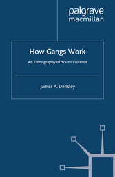 How Gangs Work