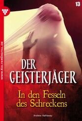 Der Geisterjäger 13 - Gruselroman