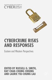 Cybercrime Risks and Responses