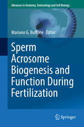 Sperm Acrosome Biogenesis and Function During Fertilization