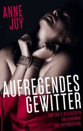 Ein aufregendes Gewitter