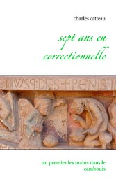 Sept ans en correctionnelle