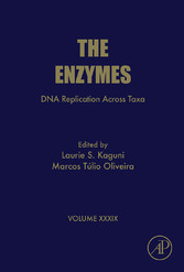 DNA Replication Across Taxa