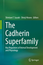 The Cadherin Superfamily