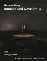 Herman Bang Romane und Novellen Band 3