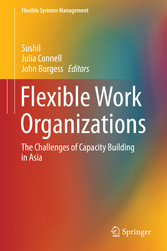 Flexible Work Organizations