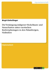 Die Verjüngung indigener Shola-Baum- und Straucharten unter exotischen Kiefernplantagen in den Palanibergen, Südindien