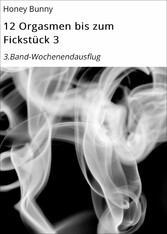 12 Orgasmen bis zum Fickstück 3