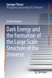 Dark Energy and the Formation of the Large Scale Structure of the Universe