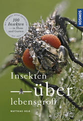 Insekten überlebensgroß