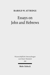 Essays on John and Hebrews