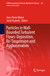 Particles in Wall-Bounded Turbulent Flows: Deposition, Re-Suspension and Agglomeration