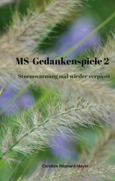 MS-Gedankenspiele 2