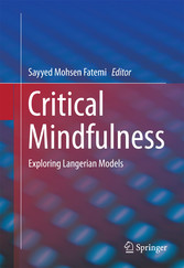 Critical Mindfulness