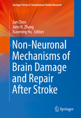 Non-Neuronal Mechanisms of Brain Damage and Repair After Stroke