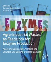 Agro-Industrial Wastes as Feedstock for Enzyme Production