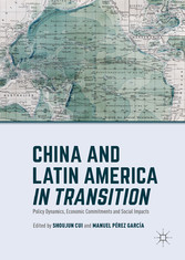 China and Latin America in Transition