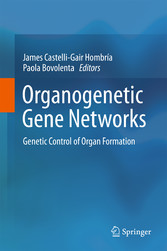 Organogenetic Gene Networks