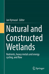 Natural and Constructed Wetlands