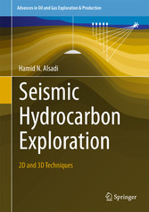 Seismic Hydrocarbon Exploration