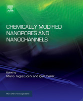 Chemically Modified Nanopores and Nanochannels