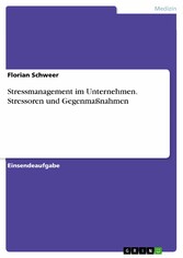 Stressmanagement im Unternehmen. Stressoren und Gegenmaßnahmen