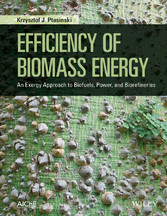 Efficiency of Biomass Energy