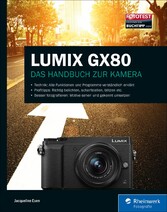 LUMIX GX80