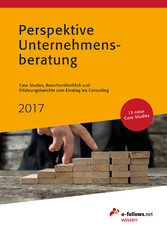 Perspektive Unternehmensberatung 2017