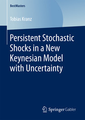 Persistent Stochastic Shocks in a New Keynesian Model with Uncertainty