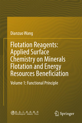 Flotation Reagents: Applied Surface Chemistry on Minerals Flotation and Energy Resources Beneficiation