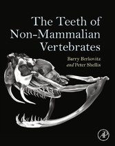 The Teeth of Non-Mammalian Vertebrates