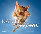 Katzensprünge