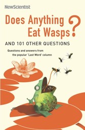 Does Anything Eat Wasps