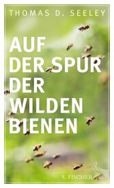 Auf der Spur der wilden Bienen