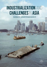 Industrialization and Challenges in Asia