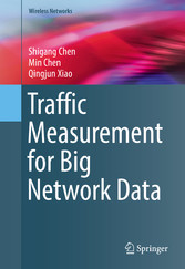 Traffic Measurement for Big Network Data