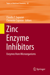 Zinc Enzyme Inhibitors