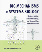 Big Mechanisms in Systems Biology