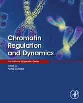 Chromatin Regulation and Dynamics