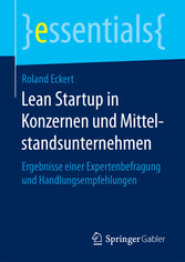 Lean Startup in Konzernen und Mittelstandsunternehmen