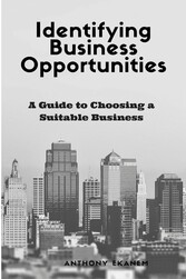 Identifying Business Opportunities