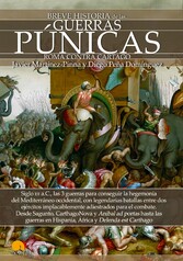 Breve historia de la Guerras Púnicas