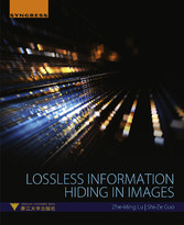 Lossless Information Hiding in Images