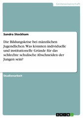 Die Bildungskrise bei männlichen Jugendlichen. Was könnten individuelle und institutionelle Gründe für das schlechte schulische Abschneiden der Jungen sein?