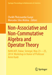 Non-Associative and Non-Commutative Algebra and Operator Theory